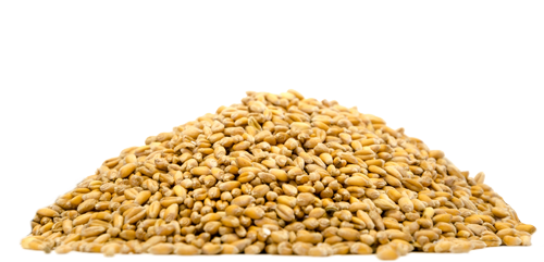 comercialización de cereales convencionales