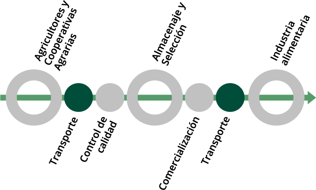 proceso de logística comercialización cereales y semillas
